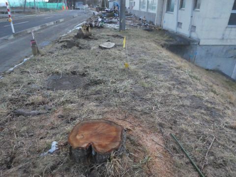 2018-12-27-7.jpg