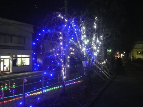 2018-12-5-12.jpg