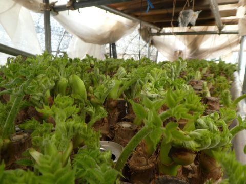 2018-2-11-4.jpg