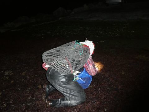 2018-2-2-7.jpg