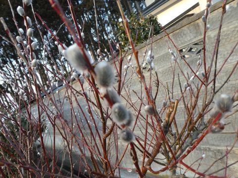 2018-2-22-2.jpg