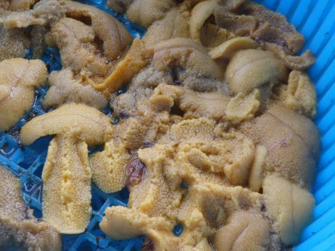 2018-6-30-6.jpg
