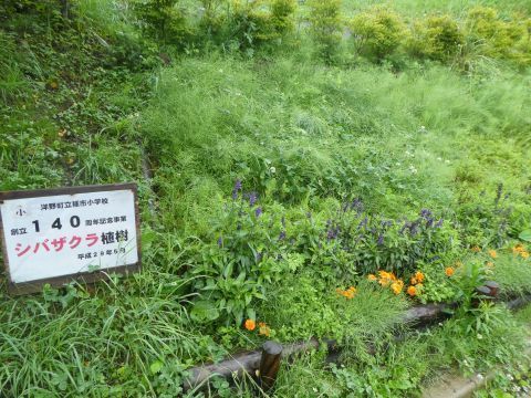 2018-7-12-14.jpg