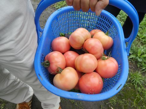 2018-8-10-10.jpg