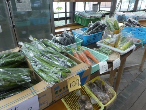 2018-8-10-12.jpg