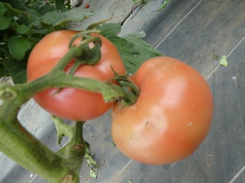 2018-8-10-5.jpg
