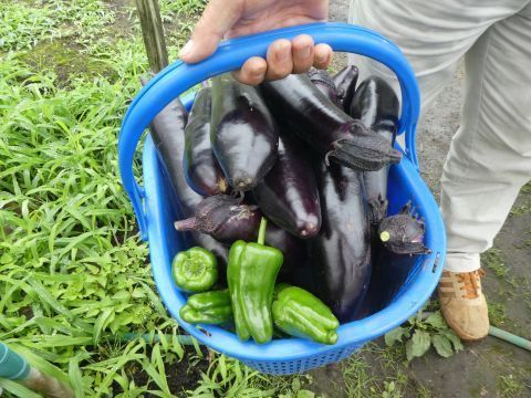 2018-8-10-9.jpg