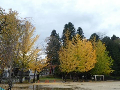 2019-10-28-1.jpg