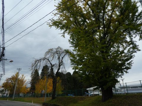 2019-10-28-10.jpg