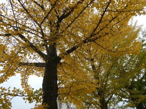 2019-10-28-3.jpg