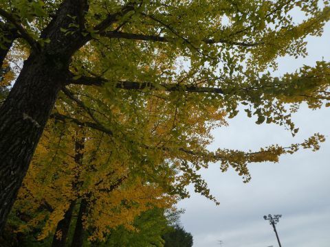 2019-10-28-4.jpg