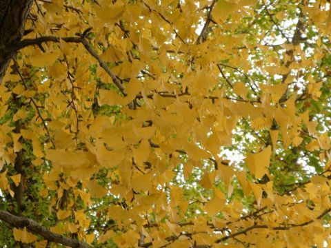 2019-10-28-5.jpg