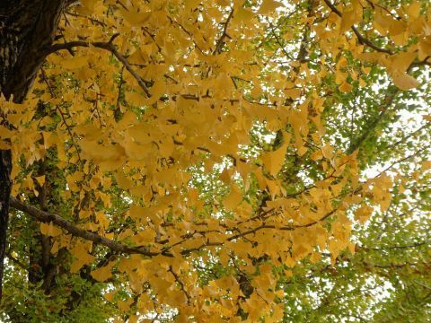 2019-10-28-6.jpg