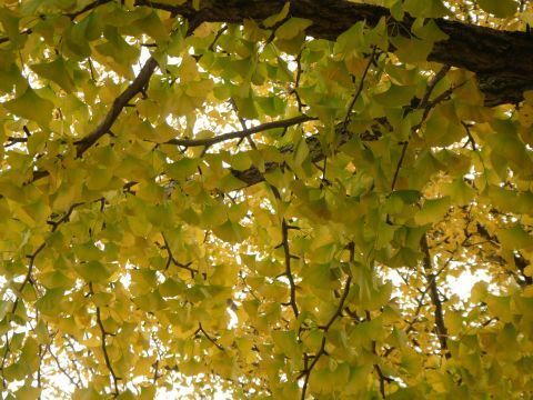 2019-10-28-7.jpg