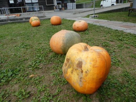 2019-10-4-2.jpg