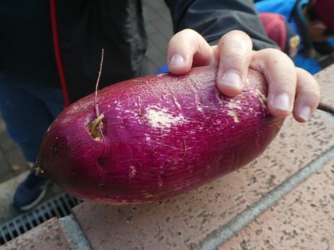 2019-11-18-4.jpg