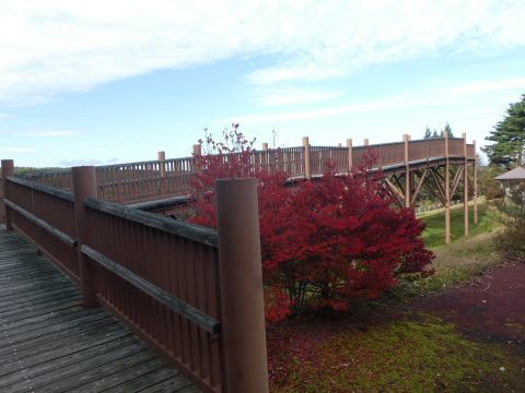 2019-11-20-12.jpg