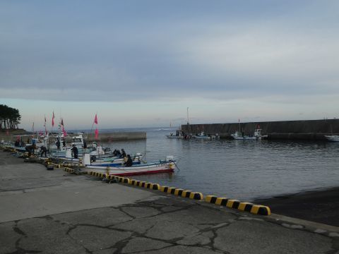 2019-11-8-1.jpg