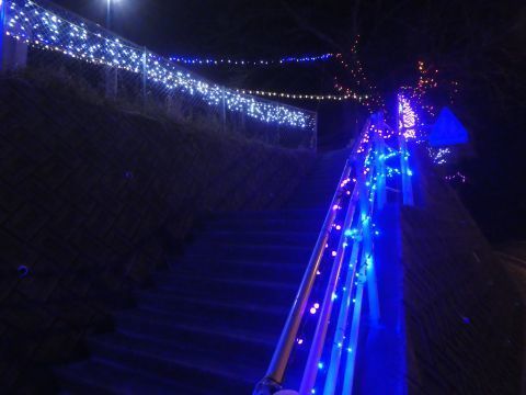 2019-12-11-5.jpg