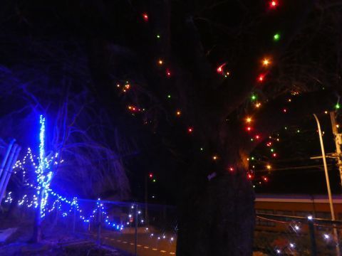 2019-12-11-6.jpg