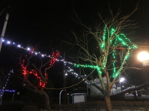 2019-12-13-4.jpg
