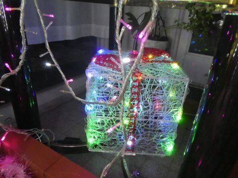 2019-12-26-7.jpg