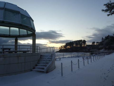 2019-12-30-1.jpg
