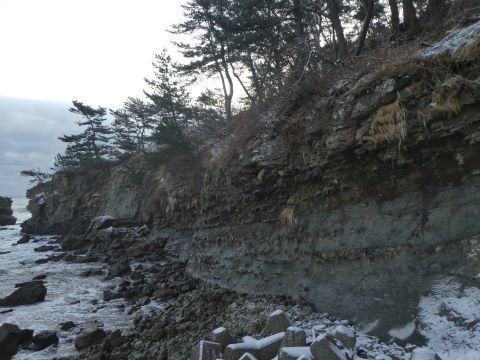 2019-12-30-4.jpg