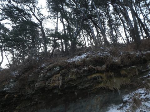 2019-12-30-5.jpg