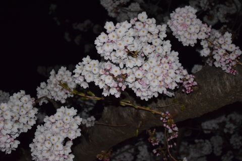 2019-12-31-8.jpg