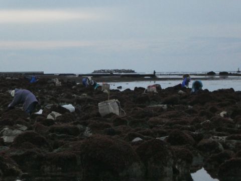 2019-2-17-11.jpg