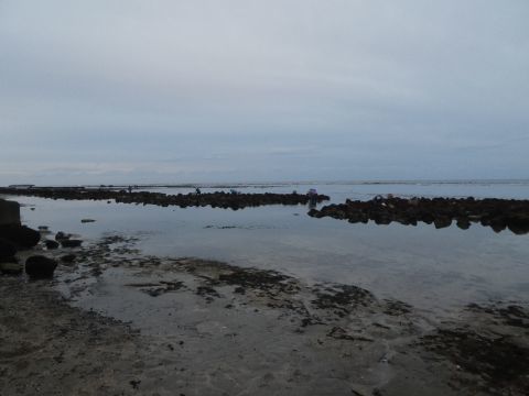 2019-2-17-2.jpg