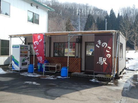 2019-2-19-2.jpg