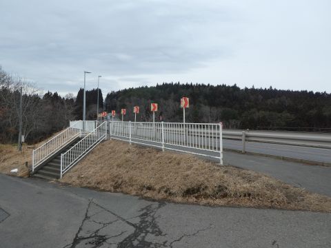 2019-2-7-1.jpg