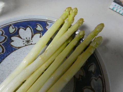 2019-3-6-6.jpg