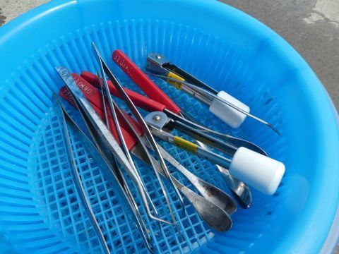 2019-6-20-7.jpg