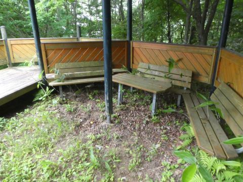 2019-6-29-8.jpg