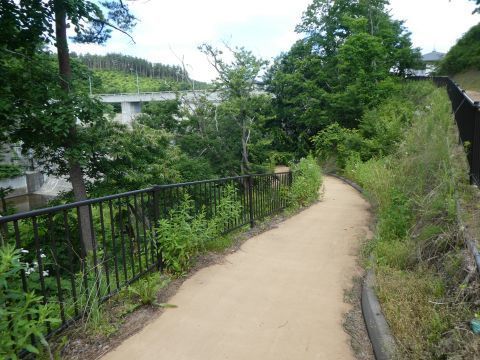 2019-7-12-4.jpg