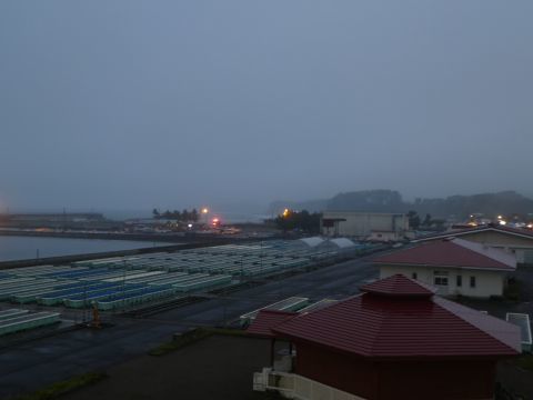 2019-8-16-1.jpg