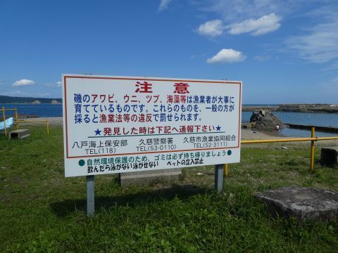 2019-9-1-11.jpg