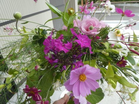 2019-9-28-8.jpg