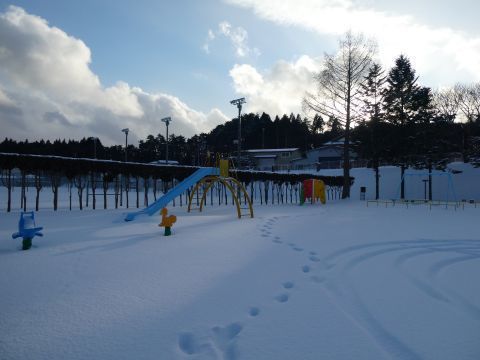 2020-2-11-2.jpg