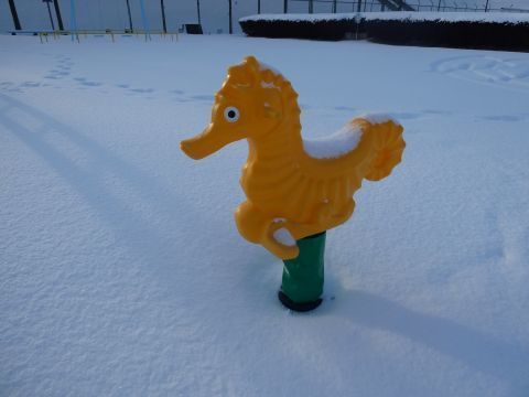 2020-2-11-5.jpg