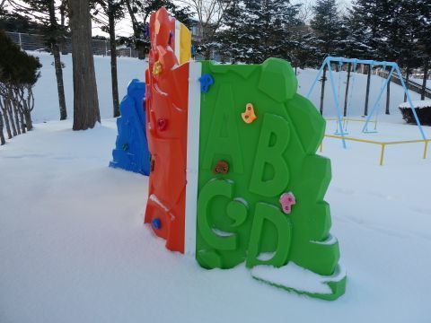 2020-2-11-8.jpg
