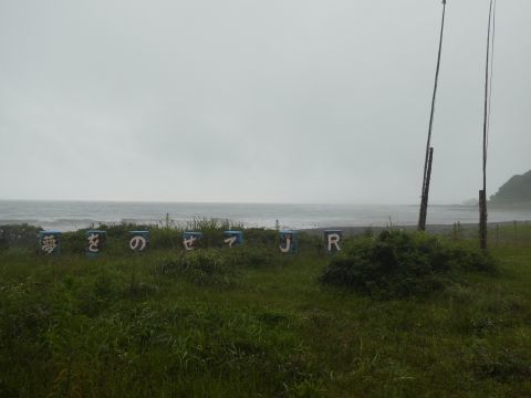 2020-8-1-8.jpg