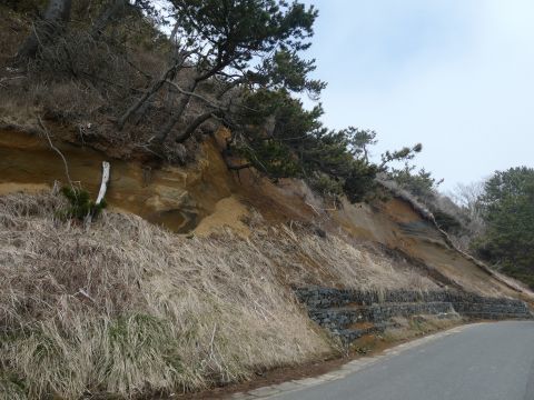 20203-10-10.jpg