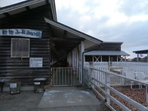 2025-2-23-11.jpg