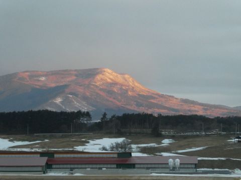 2025-2-23-6.jpg