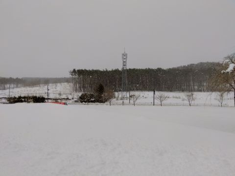 2025-3-21-9.jpg