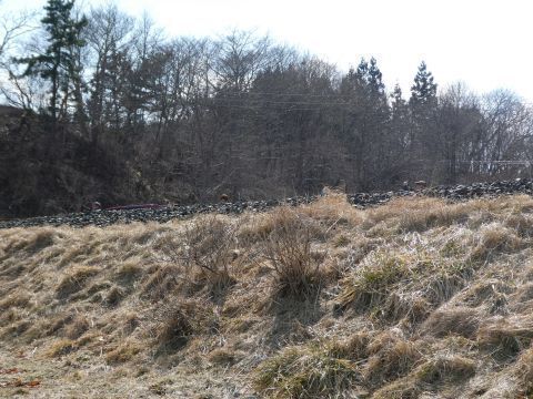 2025-3-25-11.jpg